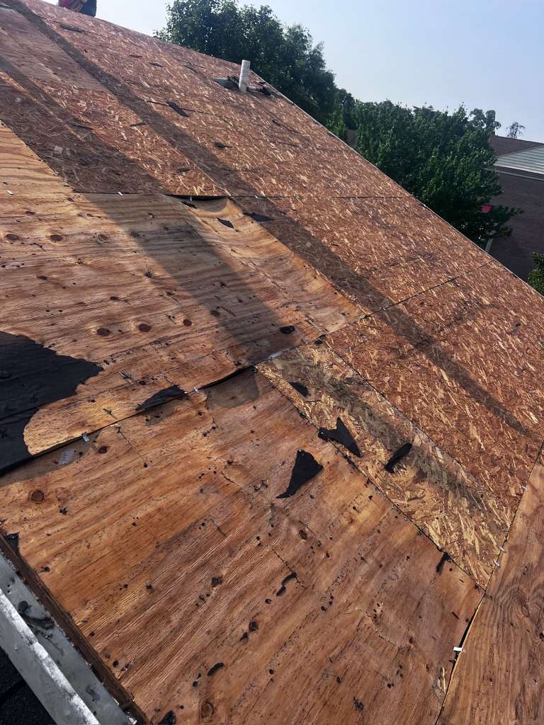 Imagen de WhatsApp 2025-12-15 a las 12.13.16_e1012704